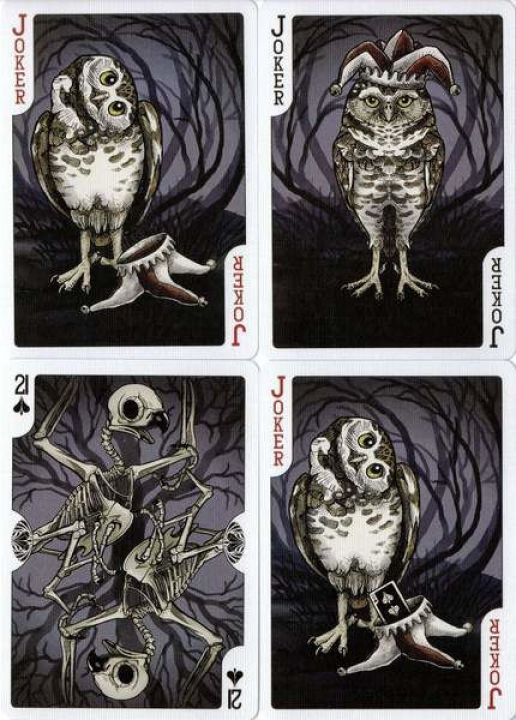 Bicycle Strigiformes Owl francia kártya